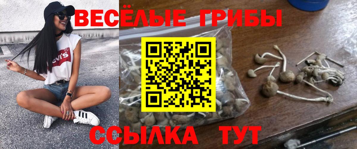 Галлюциногенные грибы Magic Shrooms  Псилоцибиновые грибы Magic Shrooms  Вход с VPN  Рузаевка 